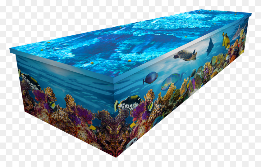 1280x787 Coffin Pic Самый Красивый Гроб, Вода, Аквариум, Морская Жизнь Png Скачать