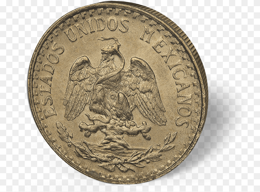 801x621 Coin, Animal, Bird, Chicken, Fowl Transparent PNG