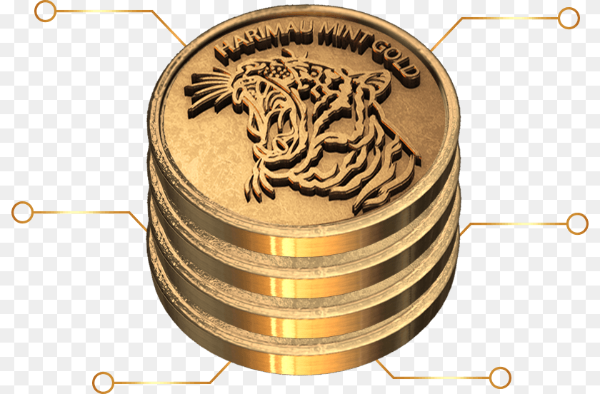 808x552 Coin We Provide The Service To Produce The Gold Coin Circle, Bronze, Money Transparent PNG