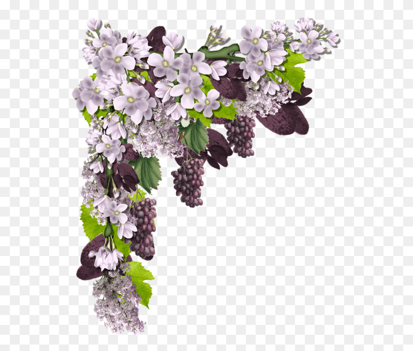 551x653 Coinscornersbordures Flower Frame Photo Corners Corner Purple Flower, Plant, Flower, Blossom HD PNG Download