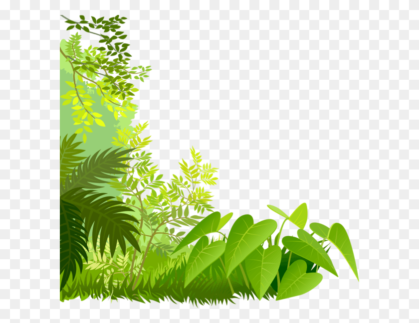 600x588 Coinscornersbordures Tree Leaves Coin Дикие Цветы Bordure De, Растительность, Растение, Зеленый Hd Png Скачать