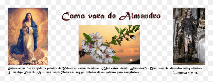 3092x1050 Colegio Colonos De Alerce, Plant, Person, Human HD PNG Download