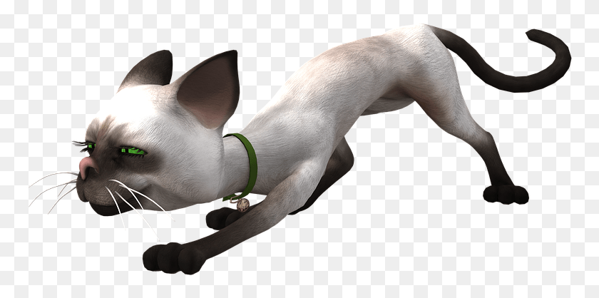 768x358 Collection Cat, Dog, Pet, Canine HD PNG Download