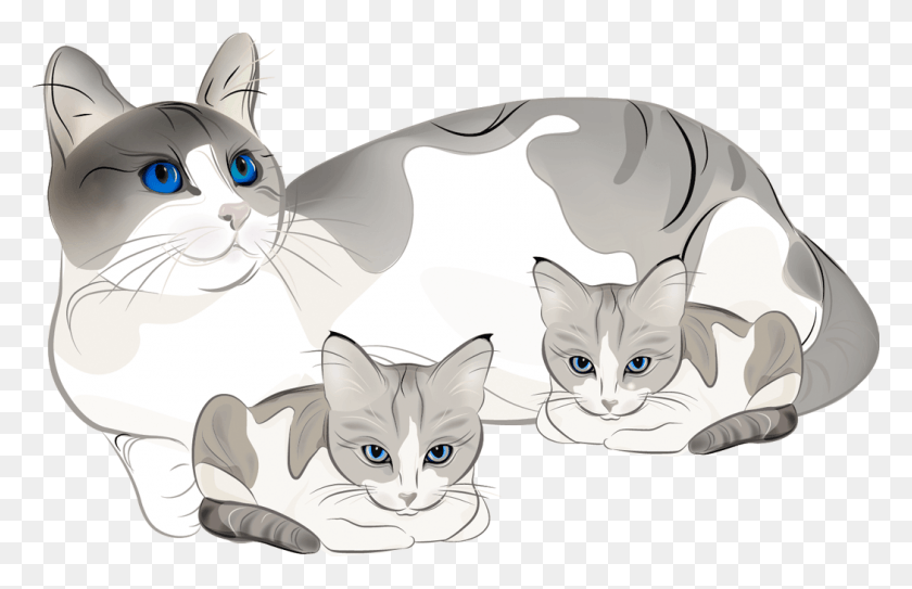 1050x651 Collection Of Cat And Kitten Clipart 2012, Pet, Mammal, Animal HD PNG Download