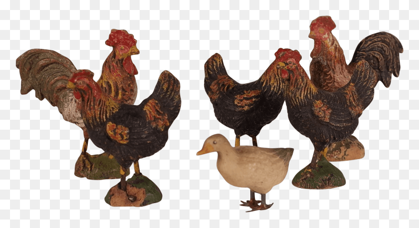 1526x777 Collection Of Five O Amp M Hausser Elastolin Chickens Rooster, Bird, Animal, Hen HD PNG Download