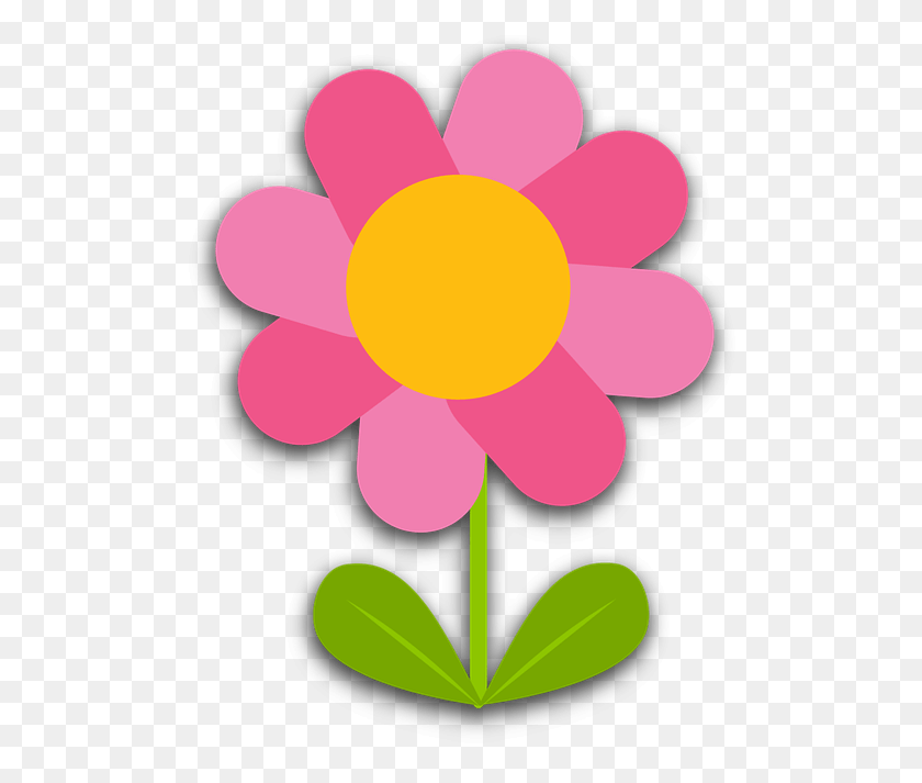 506x653 Collection Of Free Bloomed On Ubisafe Circle, Graphics, Flower HD PNG Download