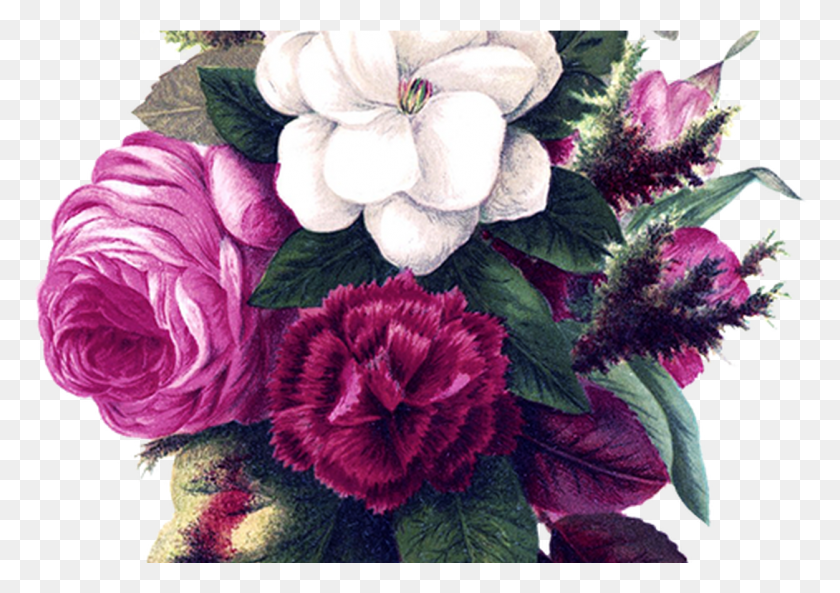 1251x856 Коллекция Бесплатных Рисунков Цветов Винтажный Цветок, Растение, Цветочный Дизайн, Узор Hd Png Скачать