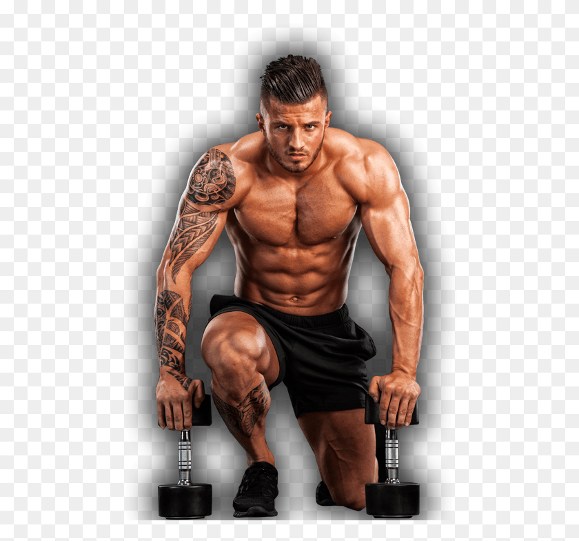 493x724 Collection Of Free Drawing Muscles Mens Arm, Person, Human, Fitness HD PNG Download