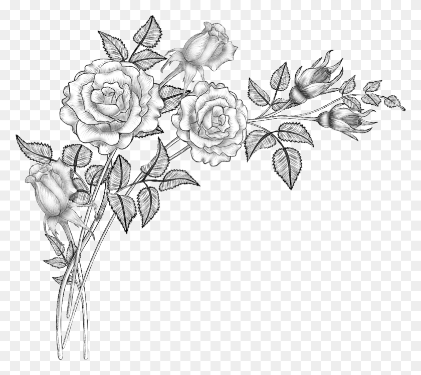 1066x941 Collection Of Free Drawing Roses Pencil Drawing, Floral Design, Pattern, Graphics HD PNG Download