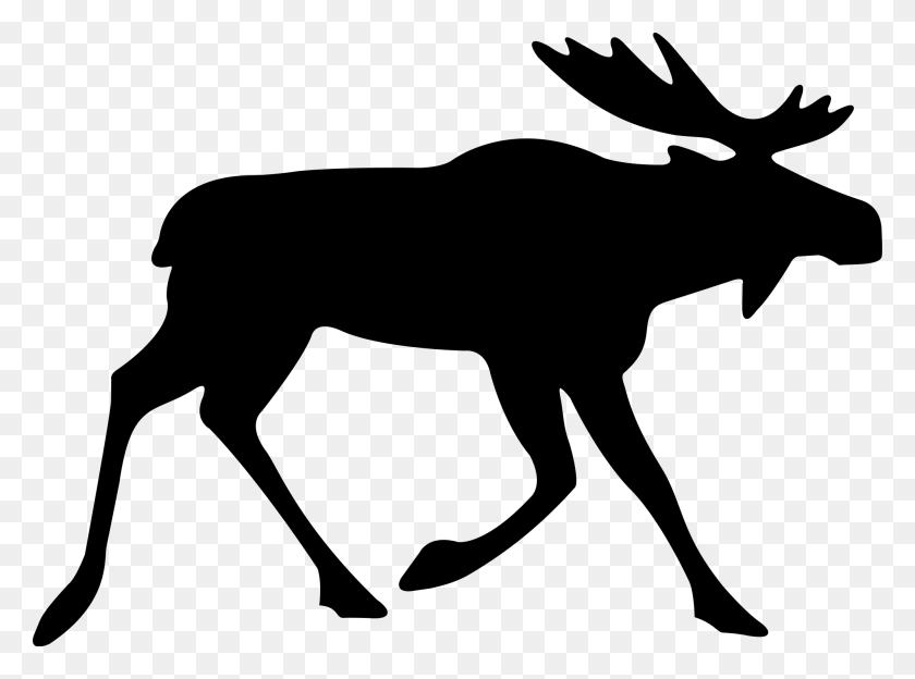 2000x1448 Collection Of Free Elk Vector Line Art Moose Vector, Gray, World Of Warcraft HD PNG Download