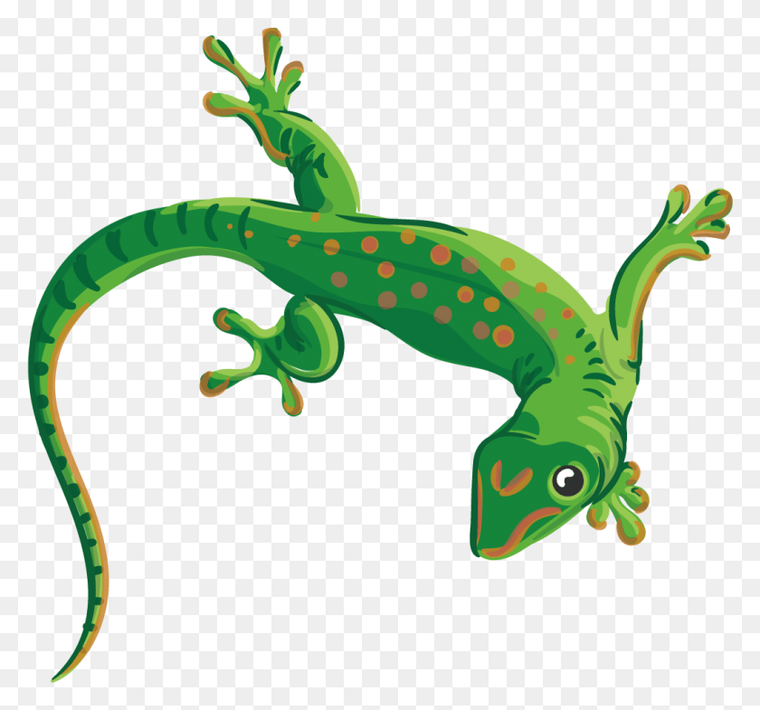 1027x955 Colección De Lagarto Vector Reptil Fondo Transparente Gecko Clipart, Animal, Dinosaur, Anole Hd Png