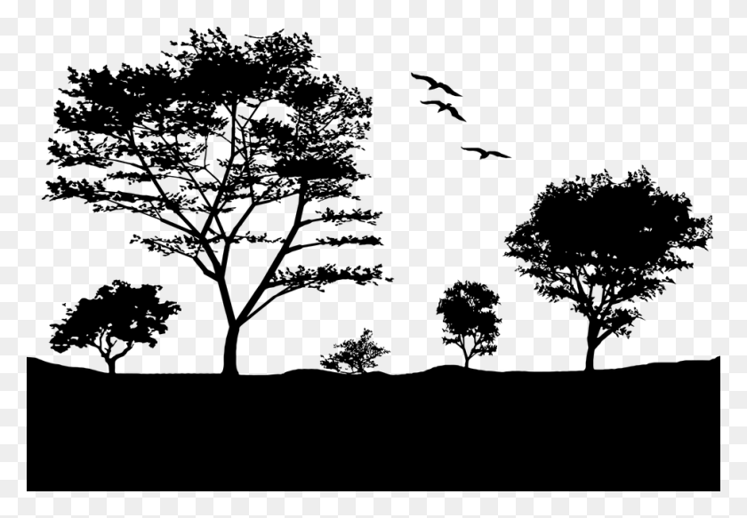 960x644 Collection Of Free Nature Vector Silhouette Landscape, Gray, World Of Warcraft HD PNG Download