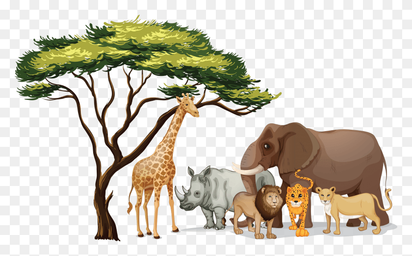 2400x1425 Коллекция Бесплатных Векторных Тем На Африканском Дереве, Жираф, Дикая Природа, Млекопитающие Png Скачать