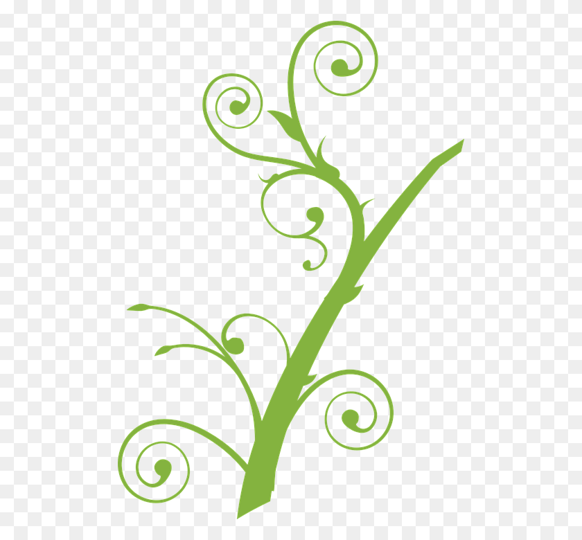 500x720 Collection Of Free Vector Vines Gr On Ubisafe Tree Branch Clip Art, Graphics, Floral Design HD PNG Download