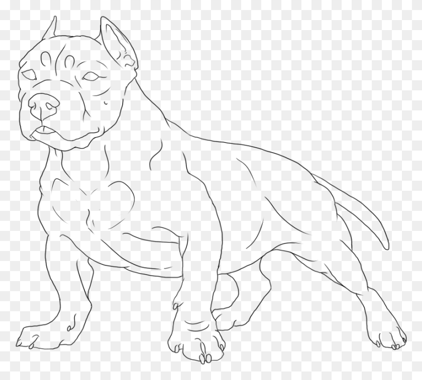 853x763 Collection Of High Quality Free Dog American Bully Dog Drawing, Gray, World Of Warcraft HD PNG Download