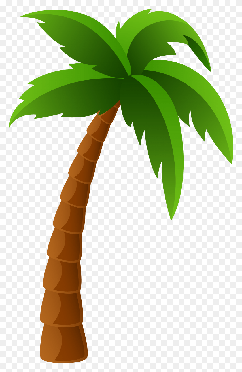 5812x9180 Collection Of Palm Tree Clipart Free, Plant, Leaf, Tree HD PNG Download