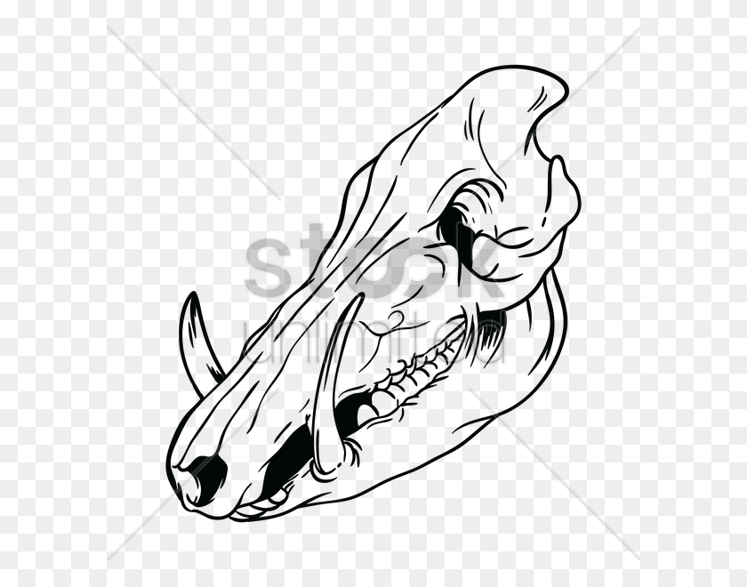 600x600 Collection Of Pig Drawing High Quality Boar Skull Drawing, Bow, Sport, Sports HD PNG Download