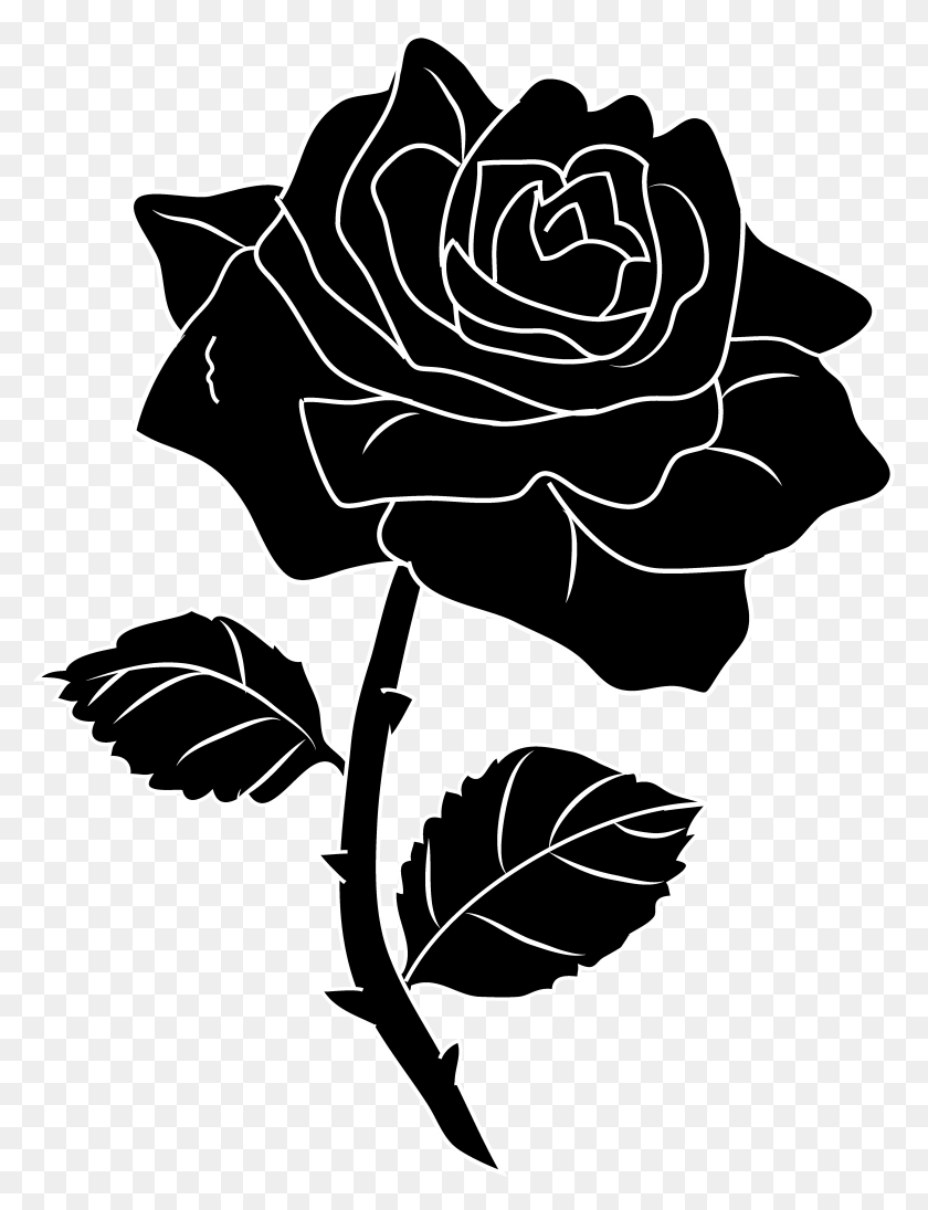 4429x5878 Collection Of Roses Clipart Black And White Beauty And The Beast Rose Clipart, Plant, Flower, Blossom HD PNG Download