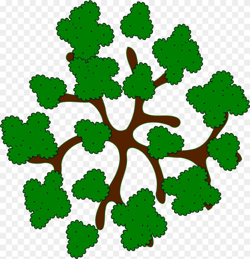 2047x2115 Collection Of Trees Clipart Top View Tree Top View Cartoon, Leaf, Plant, Pattern, Outdoors Transparent PNG