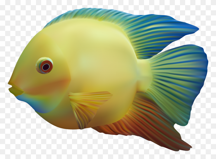 2915x2086 Коллекция С Жабрами Высококачественная Цветная Рыба, Животное, Воздушный Шар, Мяч Png Скачать
