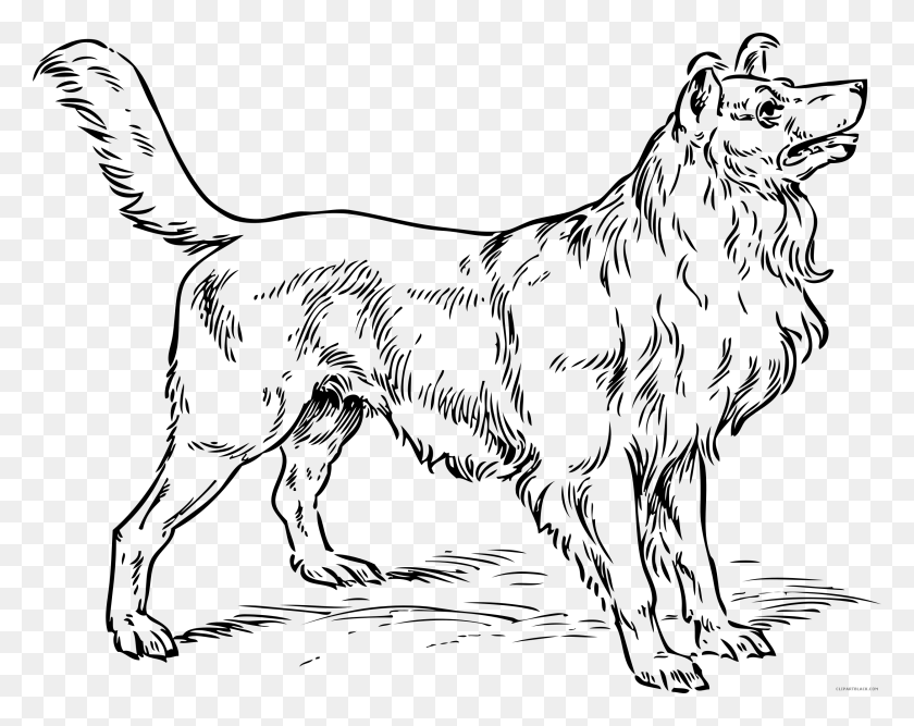 2500x1948 Collie Dog Clipart Collie Dog Coloring Pages, Astronomy, Outer Space, Universe HD PNG Download