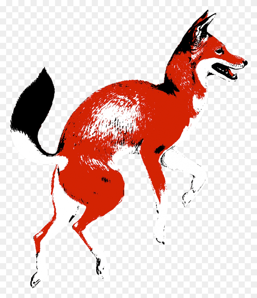 941x1103 Колумбия Джеремиас Лассо Гейша Red Fox Кофе, Животное, Кенгуру, Млекопитающее Hd Png Скачать