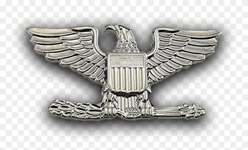 1001x576 Colonel Eastern Kingbird, Logo, Symbol, Trademark HD PNG Download