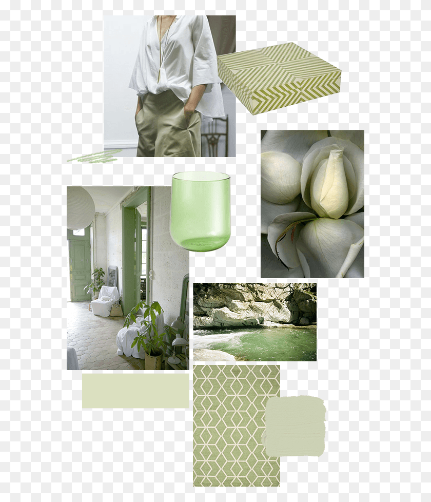 580x918 Цветной Коллаж Honeydew House, Человек, Человек, Растение Hd Png Скачать