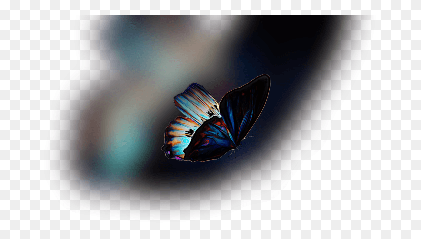 667x418 Color Palette Ideas From Butterfly Moths And Butterflies Lycaenid, Ornament, Pattern, Fractal Descargar Hd Png