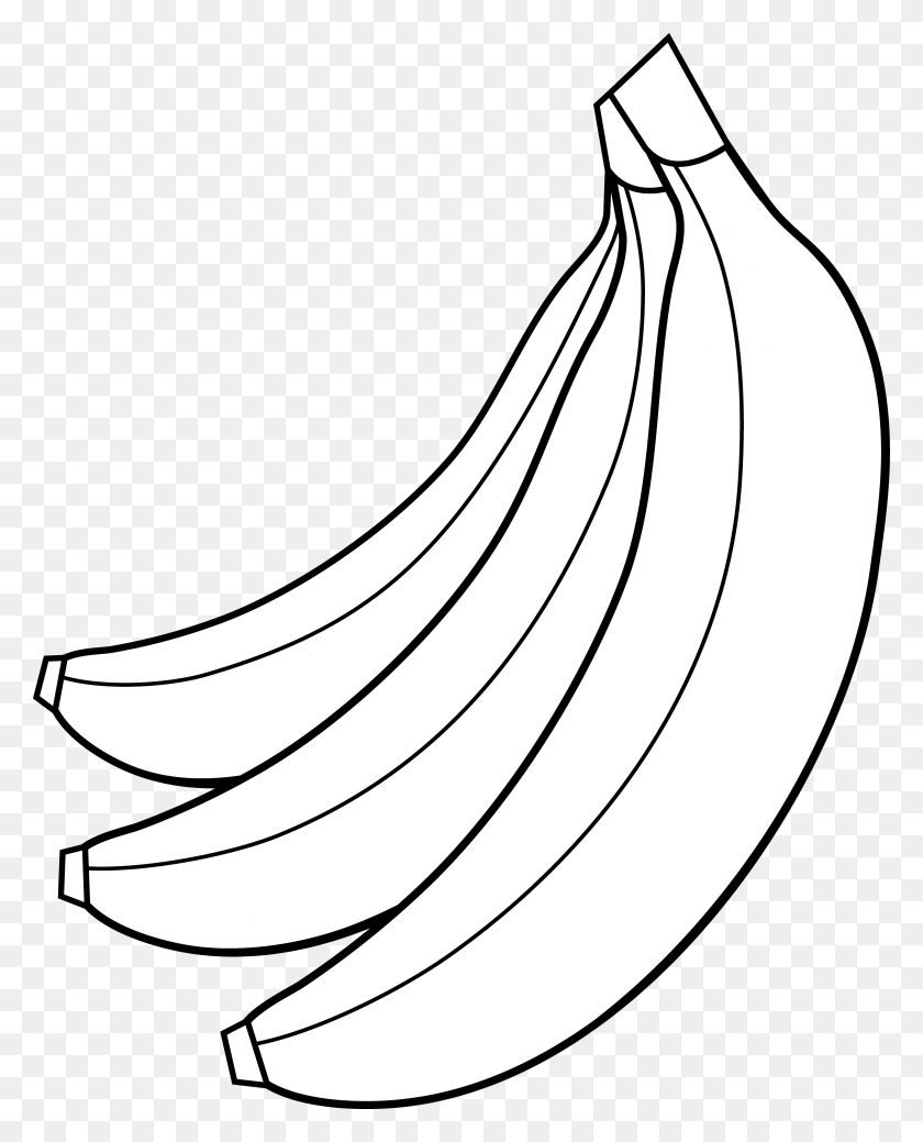 3631x4559 Colorable Bunch Of Bananas Banana Clipart Black And White, Fruit, Plant, Food HD PNG Download