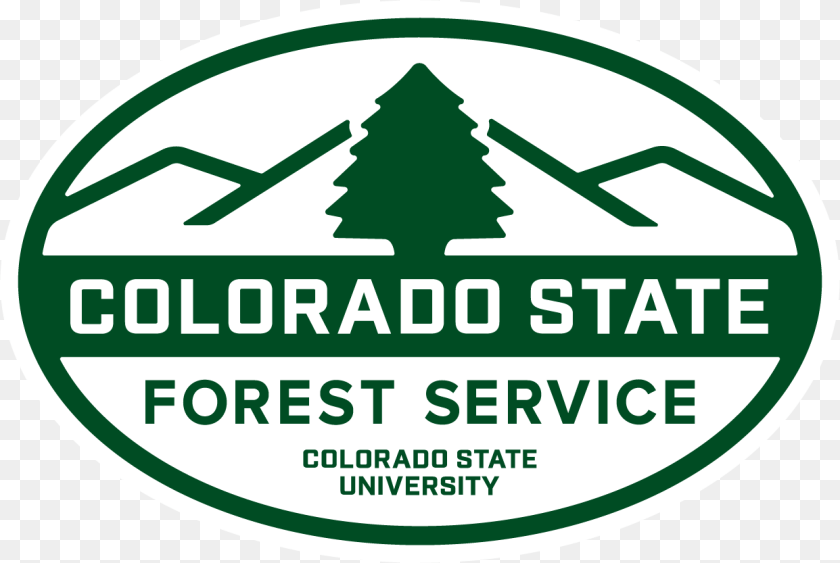 Colorado Forest Service Logo, Dynamite, Weapon Clipart PNG