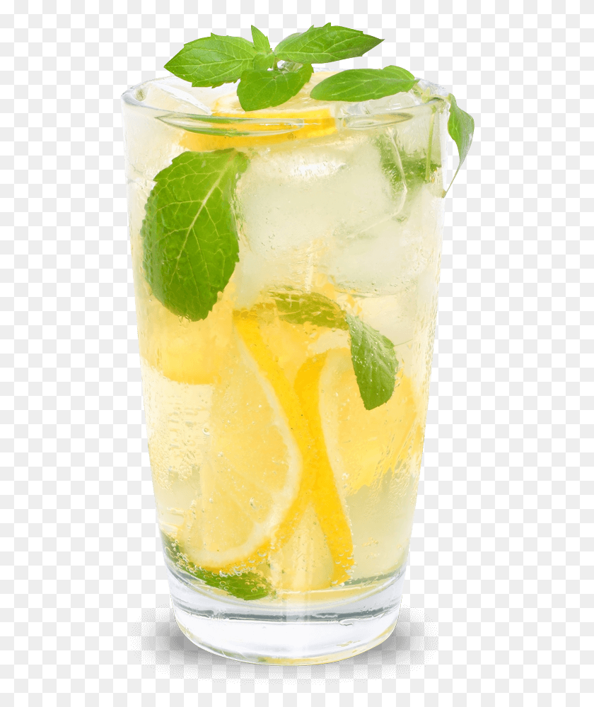 502x940 Colorado Lemonade Lemon Lime, Potted Plant, Plant, Vase Descargar Hd Png
