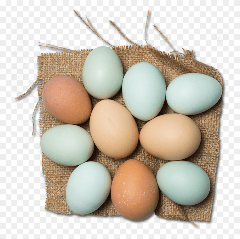 879x875 Colored Egg Layer Icon Egg, Food, Easter Egg HD PNG Download
