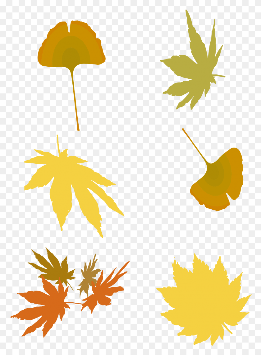 1928x2671 Colored Minimalist Style Leaves Decoration And, Leaf, Plant, Maple Leaf Descargar Hd Png
