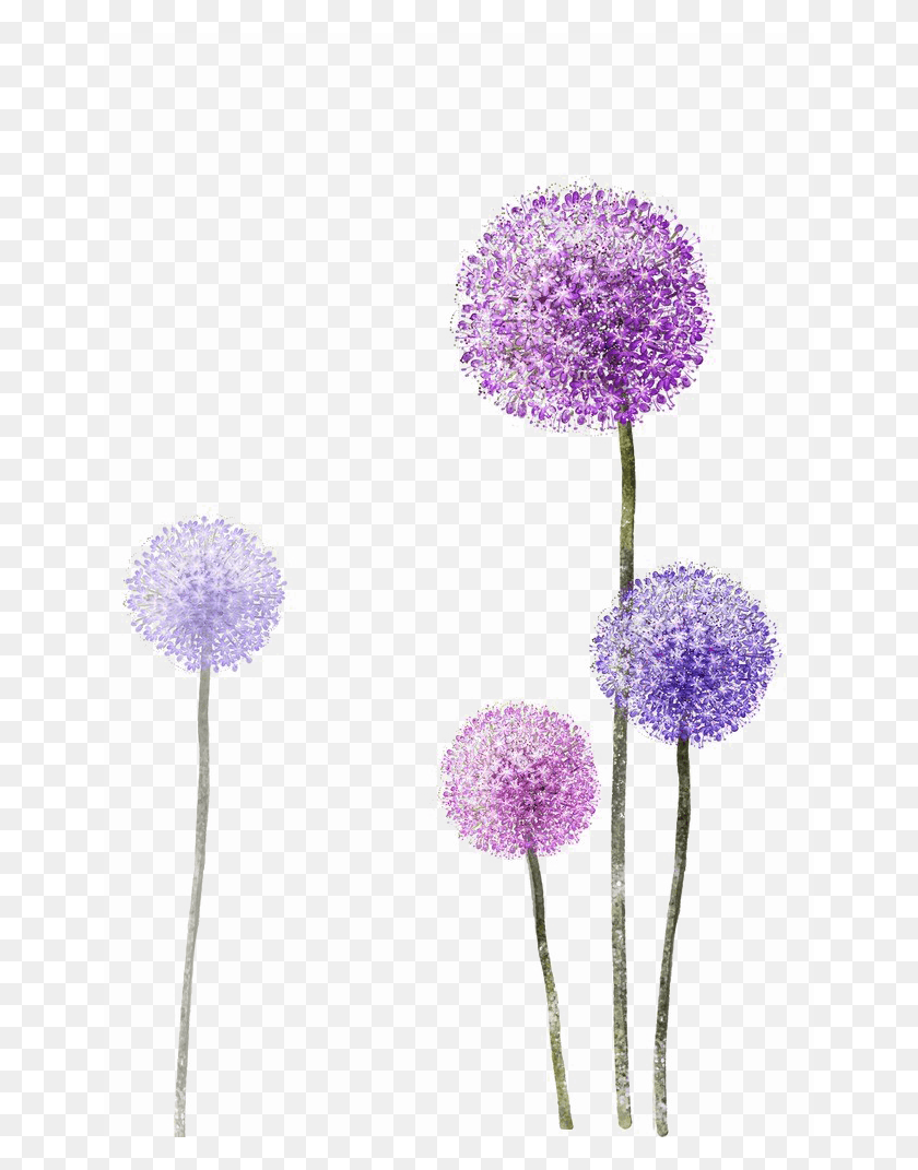 650x1011 Colored Photos Mart Dandelion Purple, Plant, Flower, Blossom HD PNG Download