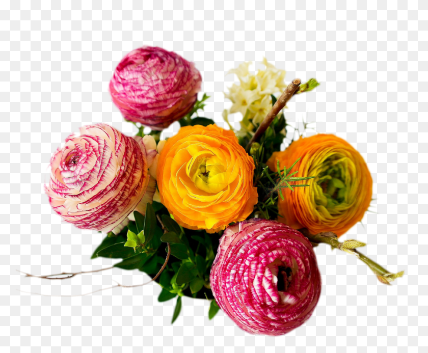 901x732 Разноцветный Букет На Прозрачном Фоне Букет, Растение, Цветок, Цветение Hd Png Скачать