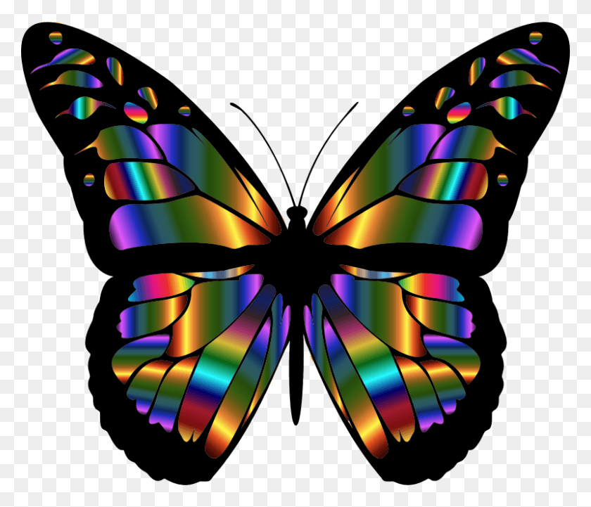 800x678 Разноцветные Крылья Бабочки, Орнамент, Узор, Графика Hd Png Скачать