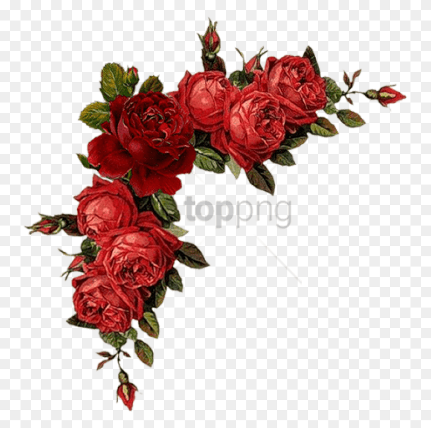 753x775 Colorful Floral Corner Borders Image With Transparent Transparent Red Floral Border, Plant, Rose, Flower HD PNG Download