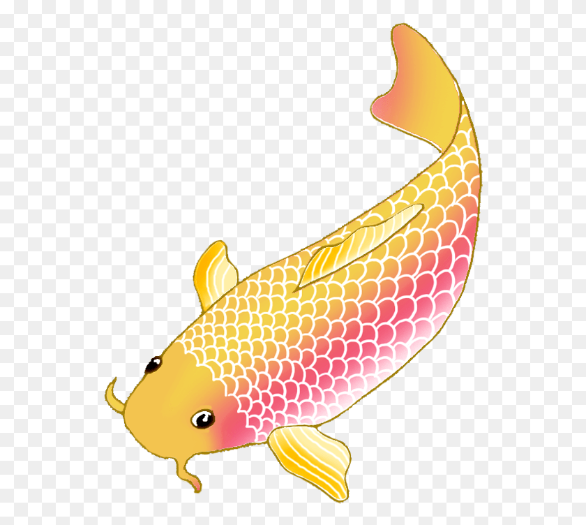 544x692 Colorful Koi Fish Drawings Vector Freeuse Transparent Background Koi Fish Clipart, Fish, Animal, Carp HD PNG Download