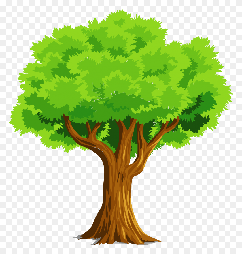 2130x2244 Colorful Natural Tree Vector Clipart Tree Clipart, Plant, Tree Trunk, Oak HD PNG Download