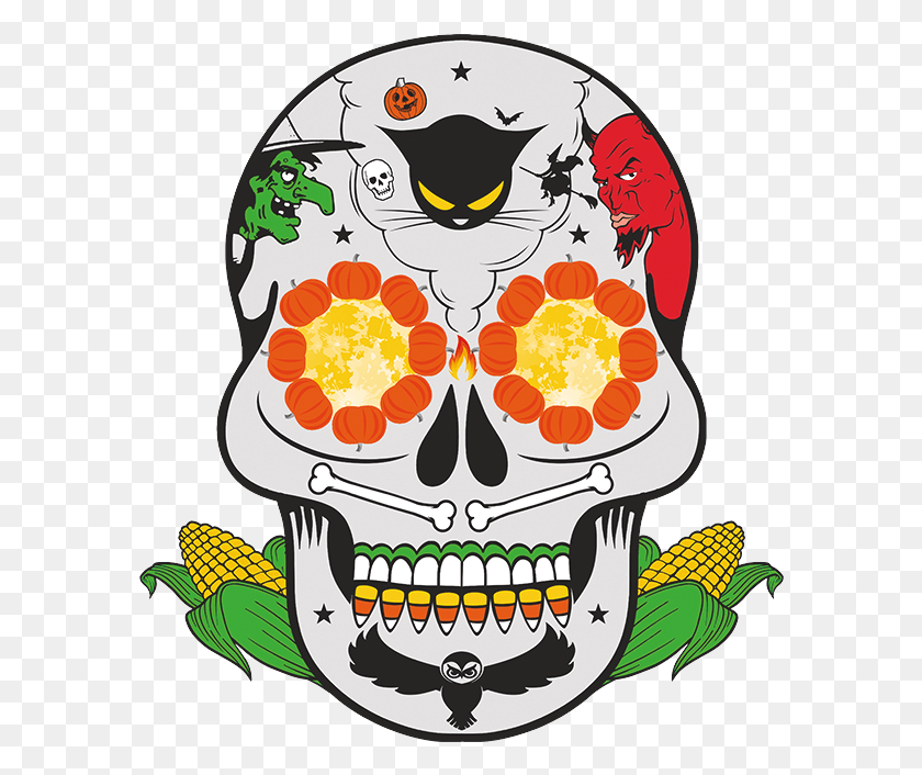 588x646 Colorful Skull Illustration, Graphics, Bird HD PNG Download