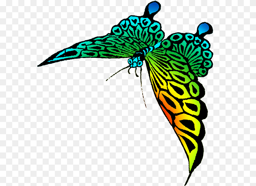 623x610 Colorful Strange Butterfly, Animal, Pattern, Bird Transparent PNG