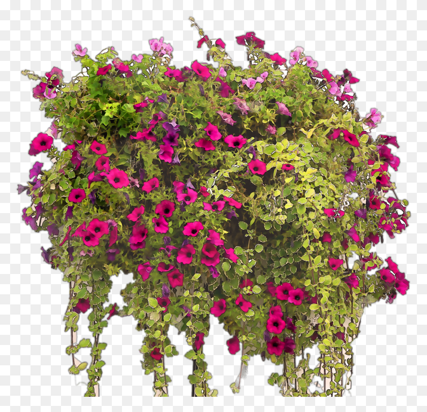 2978x2873 Png Разноцветные Акварельные Цветы Для Подвесной Корзины Для Растений