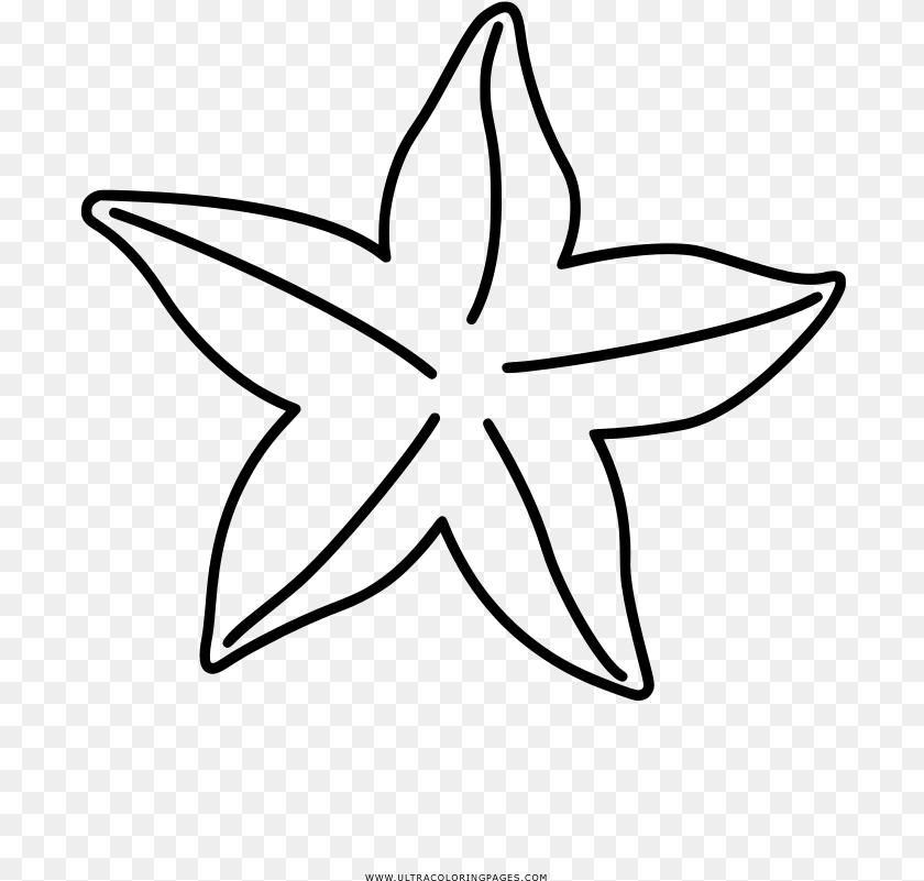 Coloring Book Drawing Starfish, Gray PNG
