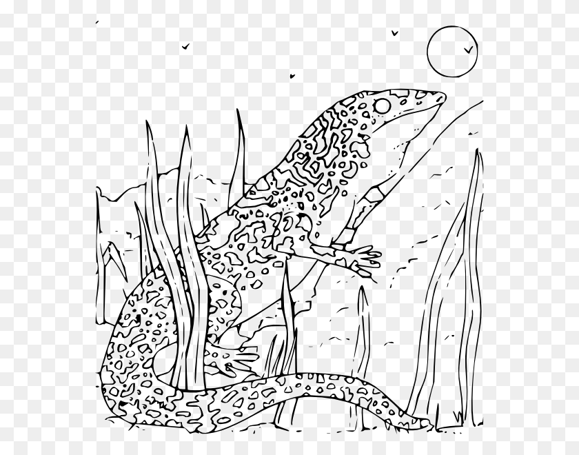 564x600 Coloring Book Monitor Gecko Svg Clip Arts 564 X 600 Gecko Coloring Pages, Animal HD PNG Download