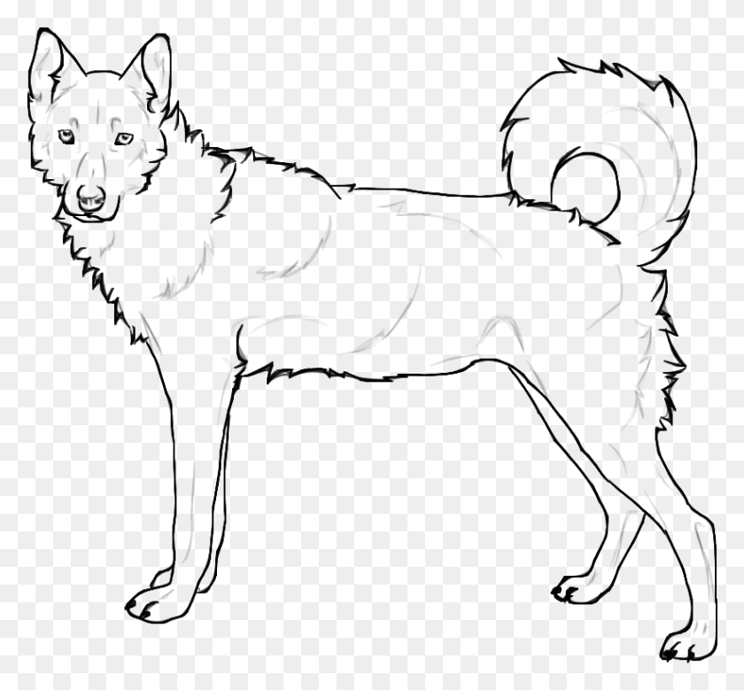 820x756 Coloring Pages Of Husky Dogs Draw A Husky Tail, Cat, Pet, Mammal HD PNG Download