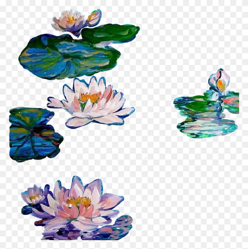 1024x1029 Colormehappy Sticker Sacred Lotus, Plant, Lily, Flower HD PNG Download