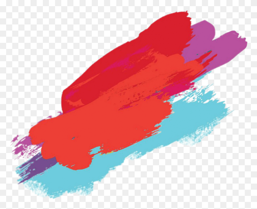 789x631 Colour Splash Paint Multi Paint Splash, Bird, Animal HD PNG Download