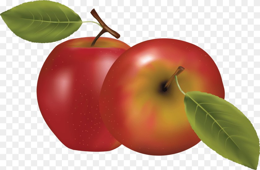 3509x2304 Coloured Apple Clipart Regarding Apple Clipart, Food, Fruit, Plant, Produce PNG