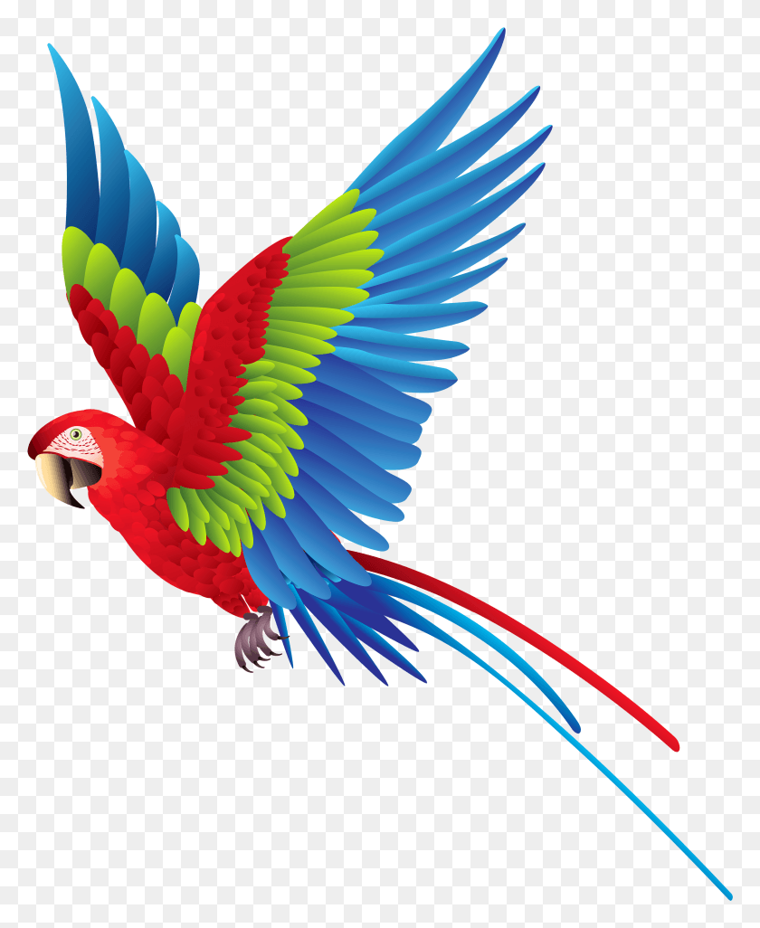 3156x3909 Разноцветный Попугай Клипарт Разноцветная Летающая Птица, Животное, Ара, Летающий Hd Png Скачать